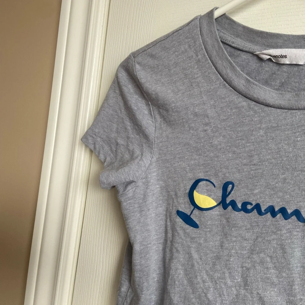 Grey Champagne Crop Top - Picture 5 of 5